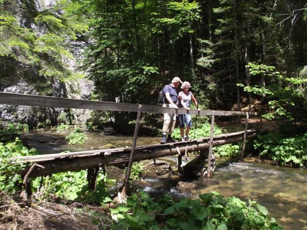 Guided hiking vacation in Romania