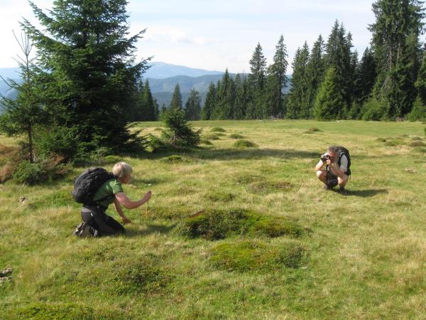 Guided hiking vacation in Romania