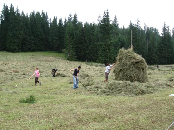 Guided hiking vacation in Romania