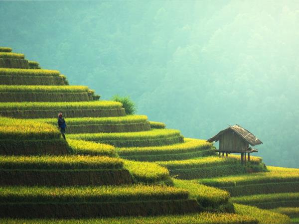 Indonesia tour, 13 days