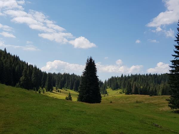 Romania hiking vacation in Apuseni National Park