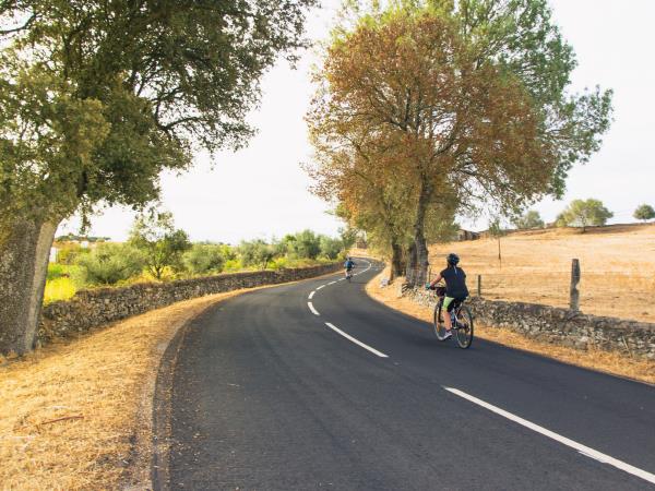 Portugal cycling vacation in Alentejo, wine region