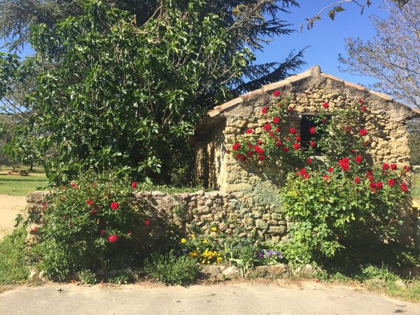Provence cultural tour