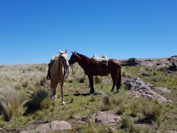 Horse riding trek in Argentina