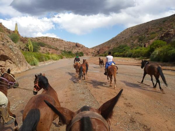 Argentina horse riding vacation, Lerma Valley to Calchaqui Valley