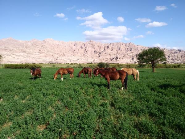 Argentina horse riding vacation, Lerma Valley to Calchaqui Valley