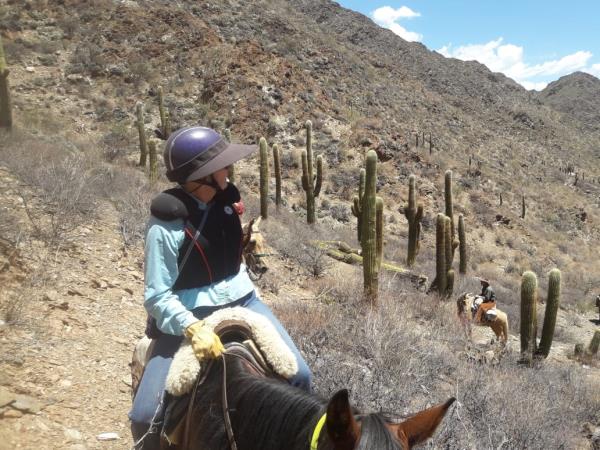 Argentina horse riding vacation, Lerma Valley to Calchaqui Valley