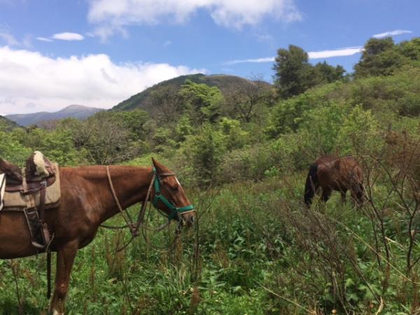 Argentina horse riding vacation, Lerma Valley to Calchaqui Valley