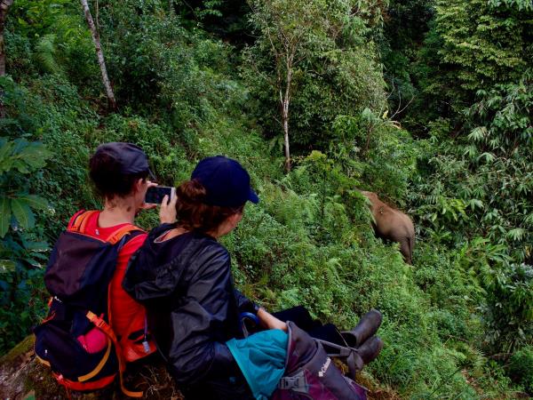 Thai cultural stay and elephant watching, short break