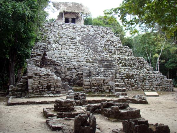 Small group wildlife tour in Mexico