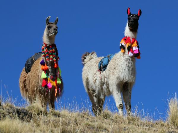 Women only tour of Peru