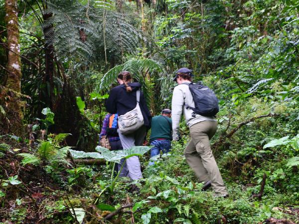 Women only tour of Peru