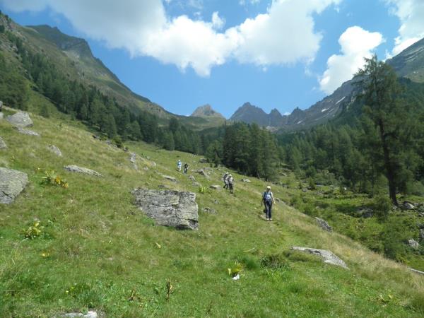 Walking vacation in Austria