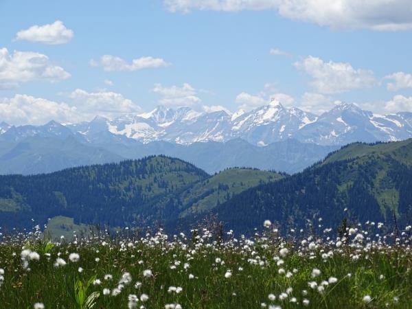 Walking vacation in Austria