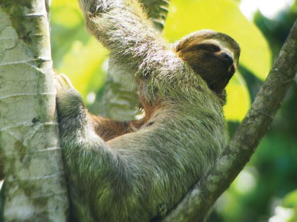 Best of Costa Rica tour