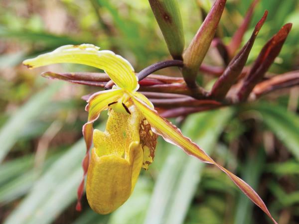 Best of Costa Rica tour