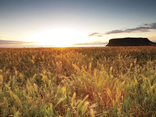 Tasmania self drive holiday for Australians
