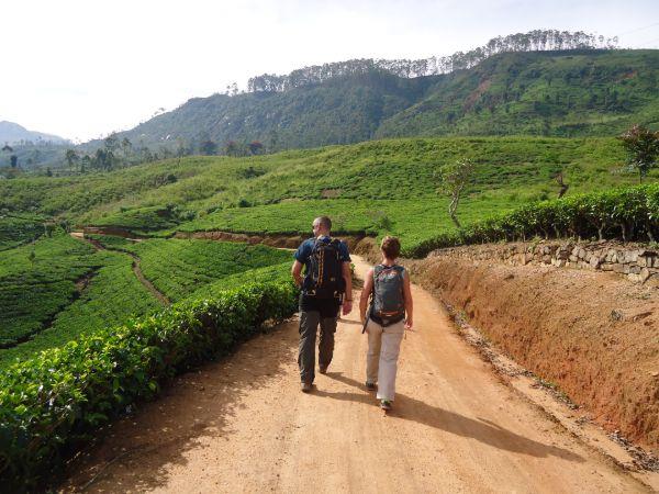 Honeymoon in Sri Lanka