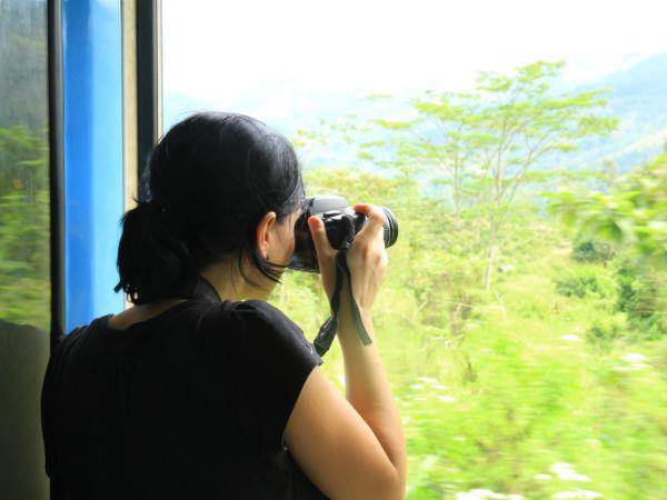 Honeymoon in Sri Lanka