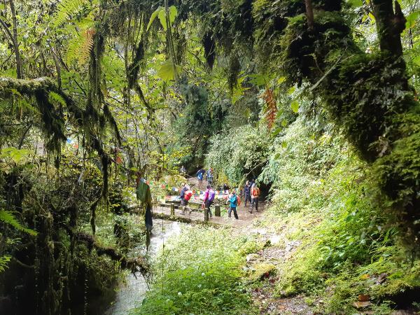 Annapurna Base Camp, 14 days trekking vacation