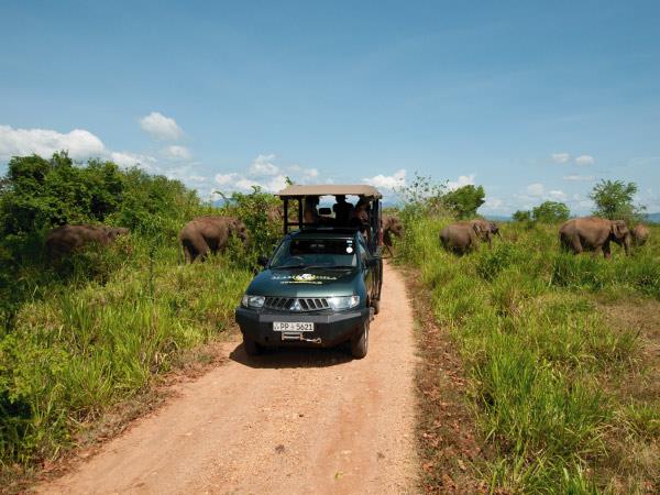 Sri Lanka luxury camping & wildlife vacation
