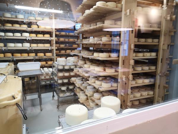 Cooking and cultural vacation in the Spanish Pyrenees
