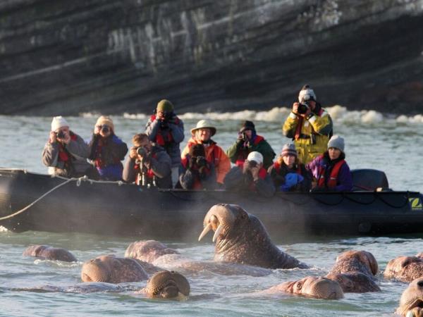 Kuril Islands cruises, bird watching cruise, Russia