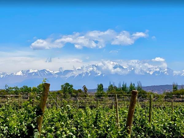 Patagonia and Mendoza vacation in Argentina