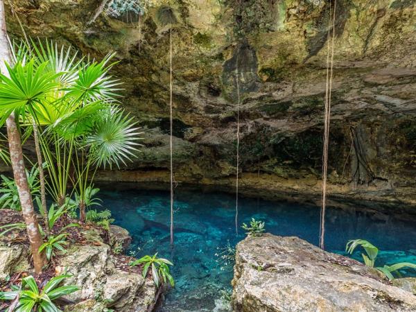Wellness retreat in Mexico