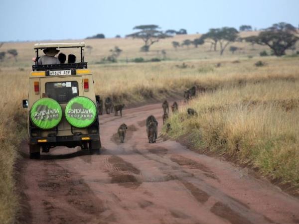 Tanzania small group camping safari