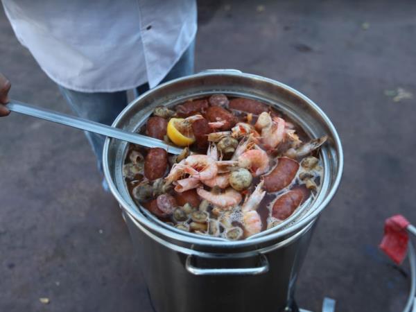 Cajun country tour in Louisiana, incl New Orleans
