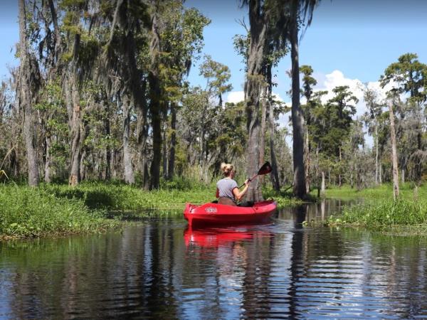 Cajun country tour in Louisiana, incl New Orleans