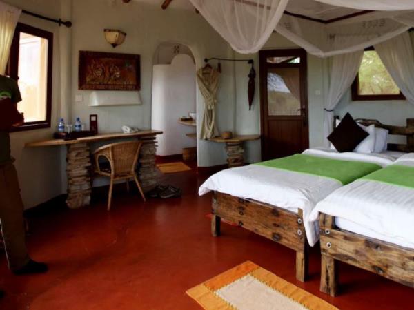 Tanzania lodge safari