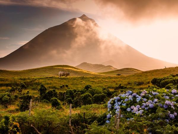 Walking vacation in the Azores