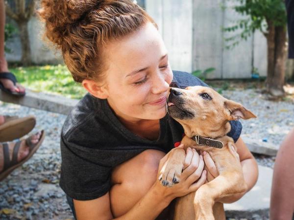 Photography volunteering in Thailand animal rescue centre