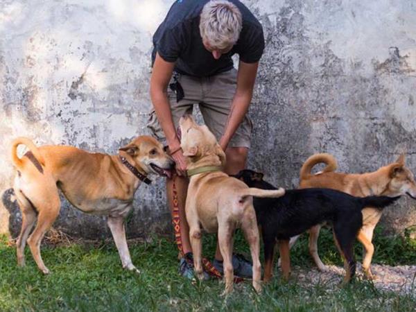Photography volunteering in Thailand animal rescue centre