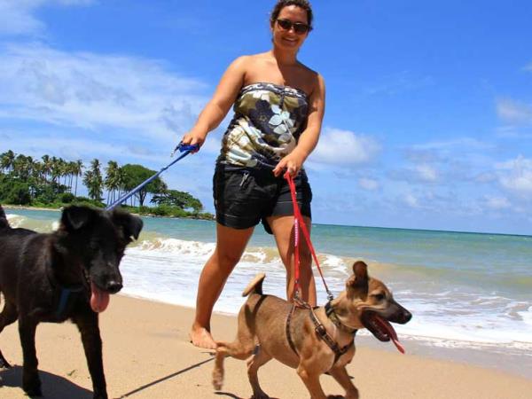Photography volunteering in Thailand animal rescue centre