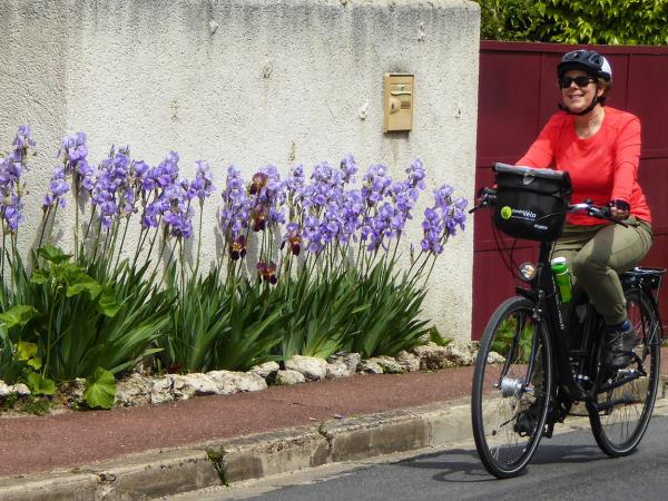 Loire Valley by bike vacation