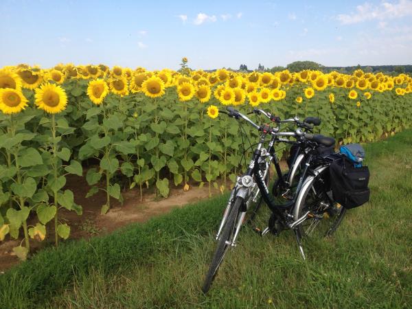 Loire Valley by bike vacation