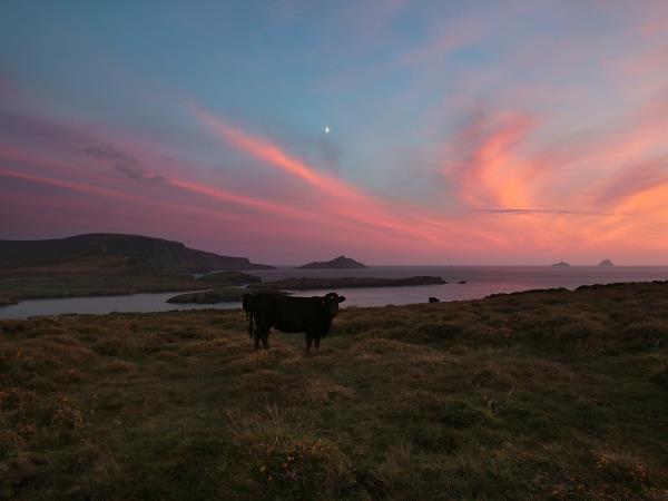 Dingle Peninsula self guided walking vacation