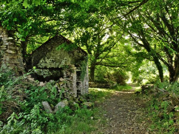 Dingle Peninsula self guided walking vacation