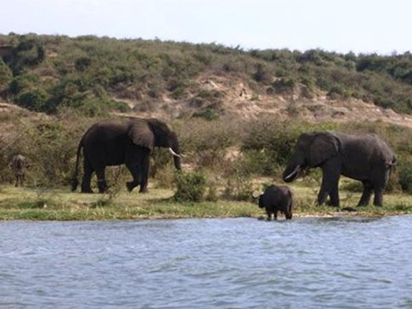 Kenya & Tanzania Safari holiday