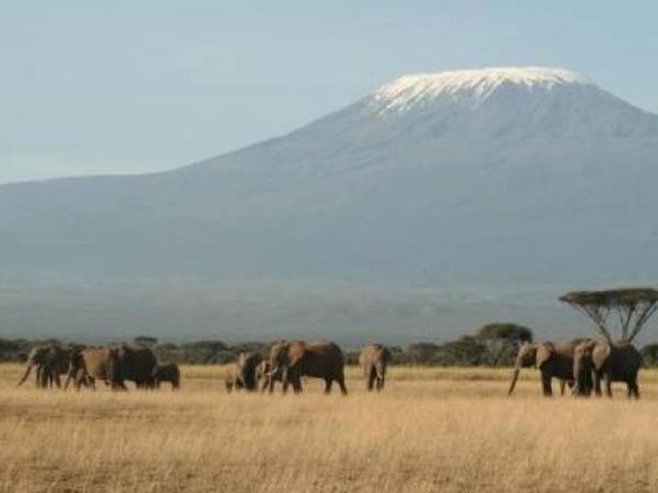 Kenya & Tanzania Safari holiday