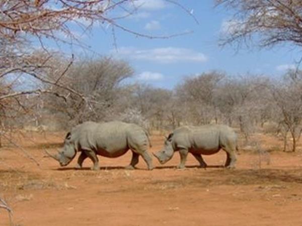Kenya & Tanzania Safari holiday