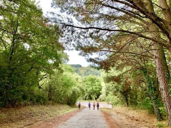 The French Way hiking vacation, Sarria - Santiago
