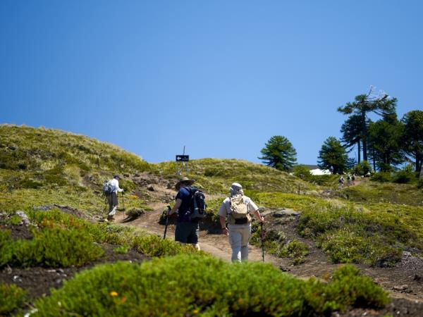 Chile hiking tour, Lake and Volcano District