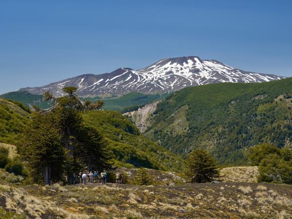 Chile hiking tour, Lake and Volcano District