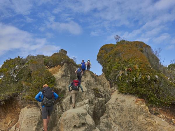7-Day Epic Pacific Coast Trekking