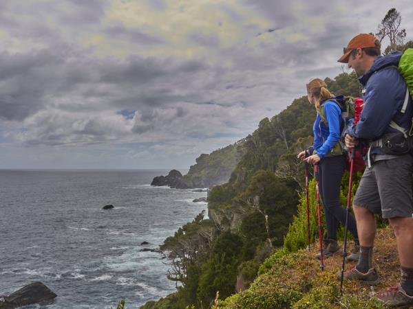 7-Day Epic Pacific Coast Trekking