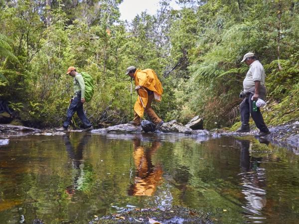 7-Day Epic Pacific Coast Trekking